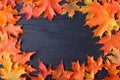 Autumn leaf composition for picture frame. Copy space. Royalty Free Stock Photo