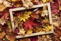 Autumn leaf composition with picture frame Royalty Free Stock Photo