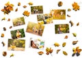 Autumn leaf composition with pictures. Copy space. Royalty Free Stock Photo
