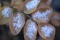 Autumn leaf covered snow. Winter came. Macro. Royalty Free Stock Photo