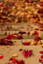 Autumn leaf fall. Red and yellow leaves on the destroyed old stone steps. Royalty Free Stock Photo
