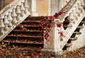 Autumn leaf fall. Red and yellow leaves on the destroyed old stone steps. Royalty Free Stock Photo