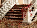 Autumn leaf fall. Red and yellow leaves on the destroyed old stone steps Royalty Free Stock Photo