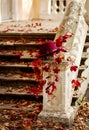 Autumn leaf fall. Red and yellow leaves on the destroyed old stone steps burgundy marsala color hat Royalty Free Stock Photo