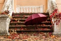 Autumn leaf fall. Red and yellow leaves on the destroyed old stone steps burgundy (marsala color) umbrella. Royalty Free Stock Photo