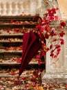 Autumn leaf fall. Red and yellow leaves on the destroyed old stone steps burgundy marsala color umbrella Royalty Free Stock Photo