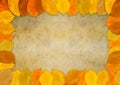 Autumn leaf frame Royalty Free Stock Photo