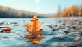 Autumn leaf falling, nature beauty reflects on tranquil pond generated by AI Royalty Free Stock Photo