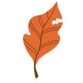 Autumn Leaf. Flat botany element. Modern fall seasonal decor. Floral silhouettes graphic design. Vector hand draw illustration