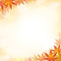 Autumn Maple Leaf Square Vector Frame With An Abstract Bokeh Background Isolated On A White Background. Royalty Free Stock Photo