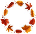 An autumn leaf frame Royalty Free Stock Photo