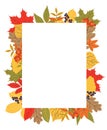 Autumn leaf frame. Fall foliage background. Thanksgiving template. Maple, oak, rowan, chestnut, berries, ash tree, foliage border. Royalty Free Stock Photo
