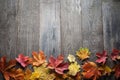 Autumn leaf frame for words and inscriptions, copy space Royalty Free Stock Photo