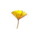 Autumn leaf - Ginko. Autumn maple leaf isolated on a white background. Watercolor illustration. Royalty Free Stock Photo