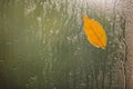 Autumn leaf on glass. Rainy weather Royalty Free Stock Photo