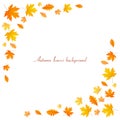 Autumn leaf gold background