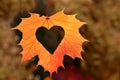 Autumn leaf heart