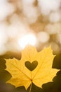 Autumn leaf heart shape cutting outdoors Royalty Free Stock Photo