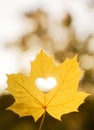Autumn leaf heart shape cutting outdoors Royalty Free Stock Photo
