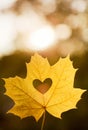 Autumn leaf heart shape cutting outdoors Royalty Free Stock Photo