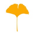 Autumn leaf, herbal element. Fall orange ginkgo leaf. Autumn botanical vector flat plant element, ginkgo biloba