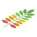 Autumn leaf icon, isometric style Royalty Free Stock Photo