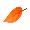 Autumn leaf icon, isometric style Royalty Free Stock Photo