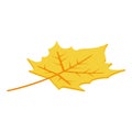 Autumn leaf icon, isometric style Royalty Free Stock Photo