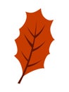 Autumn leaf icon logo vector.Leaf logo Royalty Free Stock Photo