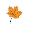 Autumn leaf icon. Autumn maple leaf in modern simpl flat design. Autumn maple leaf, isolated on white background. Vector