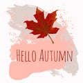 Autumn leaf icon. Autumn maple leaf in modern simple flat design. Autumn maple leaf, isolated on white background