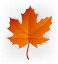 Autumn leaf. Leaf isolated on a white background. Autumn maple leaf. Vector