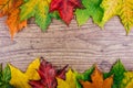 Autumn background with colorful fall maple leaves on rustic wooden table. Thanksgiving holidays concept. Green, yellow Royalty Free Stock Photo