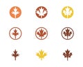 autumn leaf logo vector icons Royalty Free Stock Photo