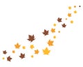 autumn leaf logo vector icons Royalty Free Stock Photo