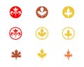 autumn leaf logo vector icons Royalty Free Stock Photo