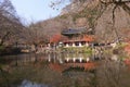 Korea Naejangsan temple pagoda