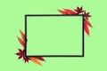 Autumn Leaf Natural Abstract Frame wiyh Rhus Typhina Leaves