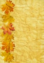 Autumn leaf on old paper Royalty Free Stock Photo