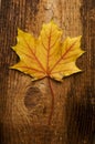 Autumn leaf over old board Royalty Free Stock Photo