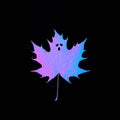 Autumn leaf painted in vibrant gradient holographic neon colors like ghost. Royalty Free Stock Photo