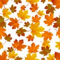 Autumn leaf pattern. Fall leaf decoration. Autumn background with maple leaf. Vector Royalty Free Stock Photo
