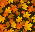 Autumn leaf pattern. Fall leaf decoration. Autumn background with maple leaf. Vector Royalty Free Stock Photo