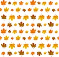 Autumn leaf pattern. Fall leaf decoration. Autumn background with maple leaf. Vector Royalty Free Stock Photo