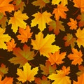 Autumn leaf pattern. Fall leaf decoration. Autumn background with maple leaf. Vector Royalty Free Stock Photo