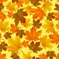 Autumn leaf pattern. Fall leaf decoration. Autumn background with maple leaf. Vector Royalty Free Stock Photo