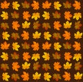Autumn leaf pattern. Fall leaf decoration. Autumn background with maple leaf. Vector Royalty Free Stock Photo
