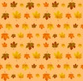 Autumn leaf pattern. Fall leaf decoration. Autumn background with maple leaf. Vector Royalty Free Stock Photo