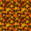 Autumn leaf pattern. Fall leaf decoration. Autumn background with maple leaf. Vector Royalty Free Stock Photo