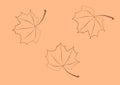 Autumn leaf pattern